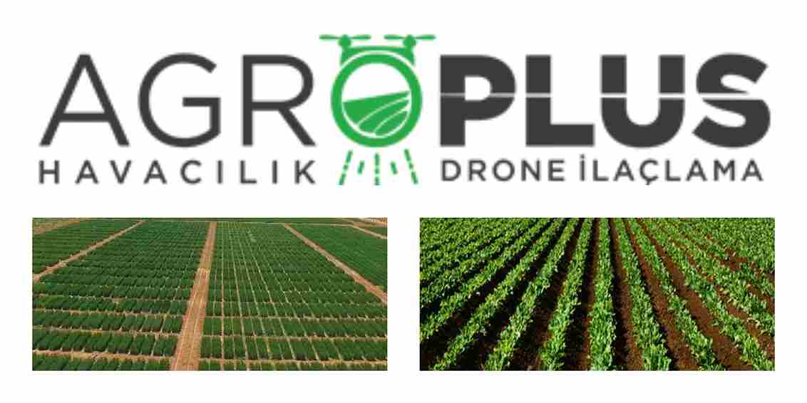 Beyşehir Drone İlaçlama
